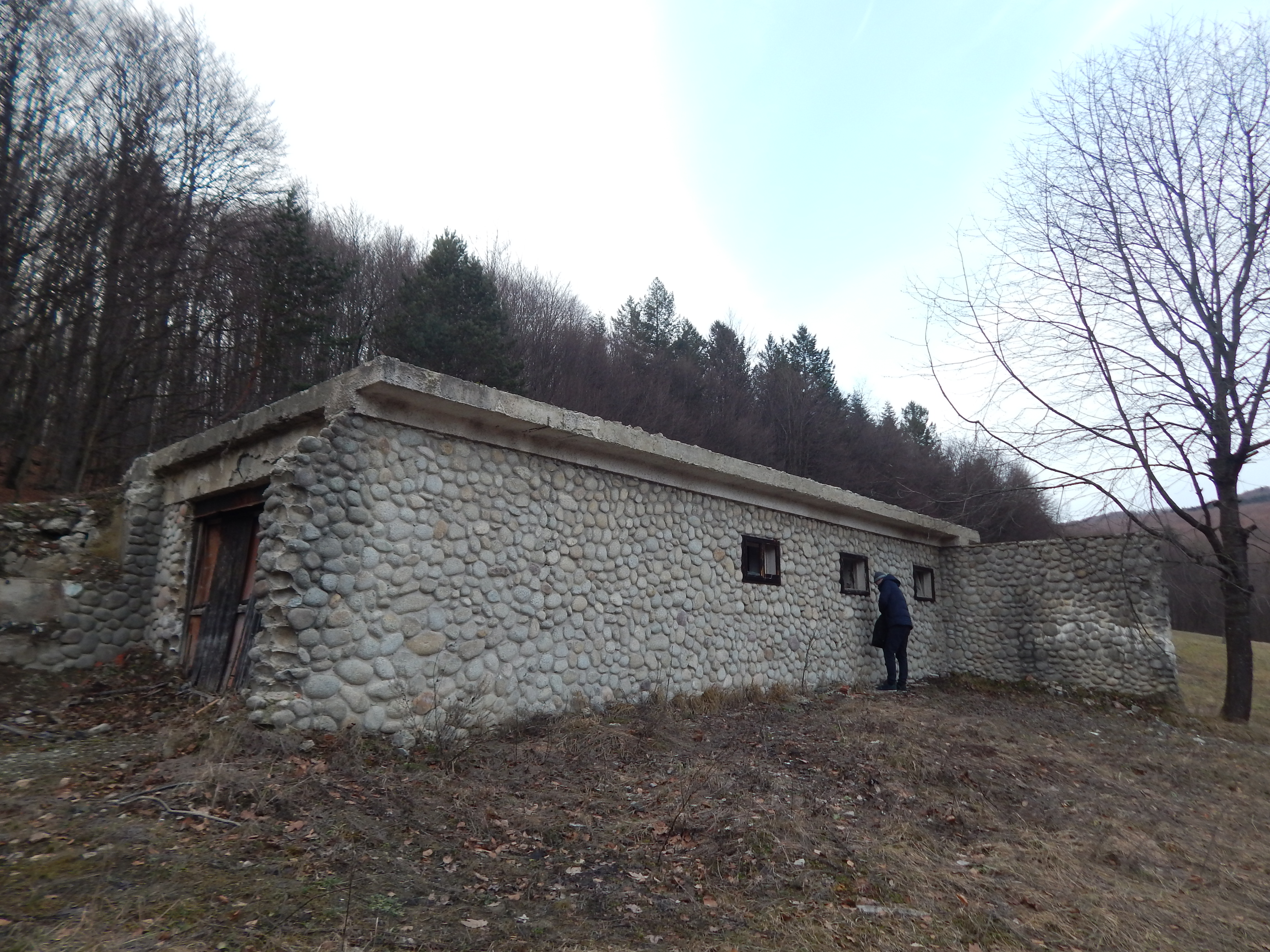 DSCN0249
