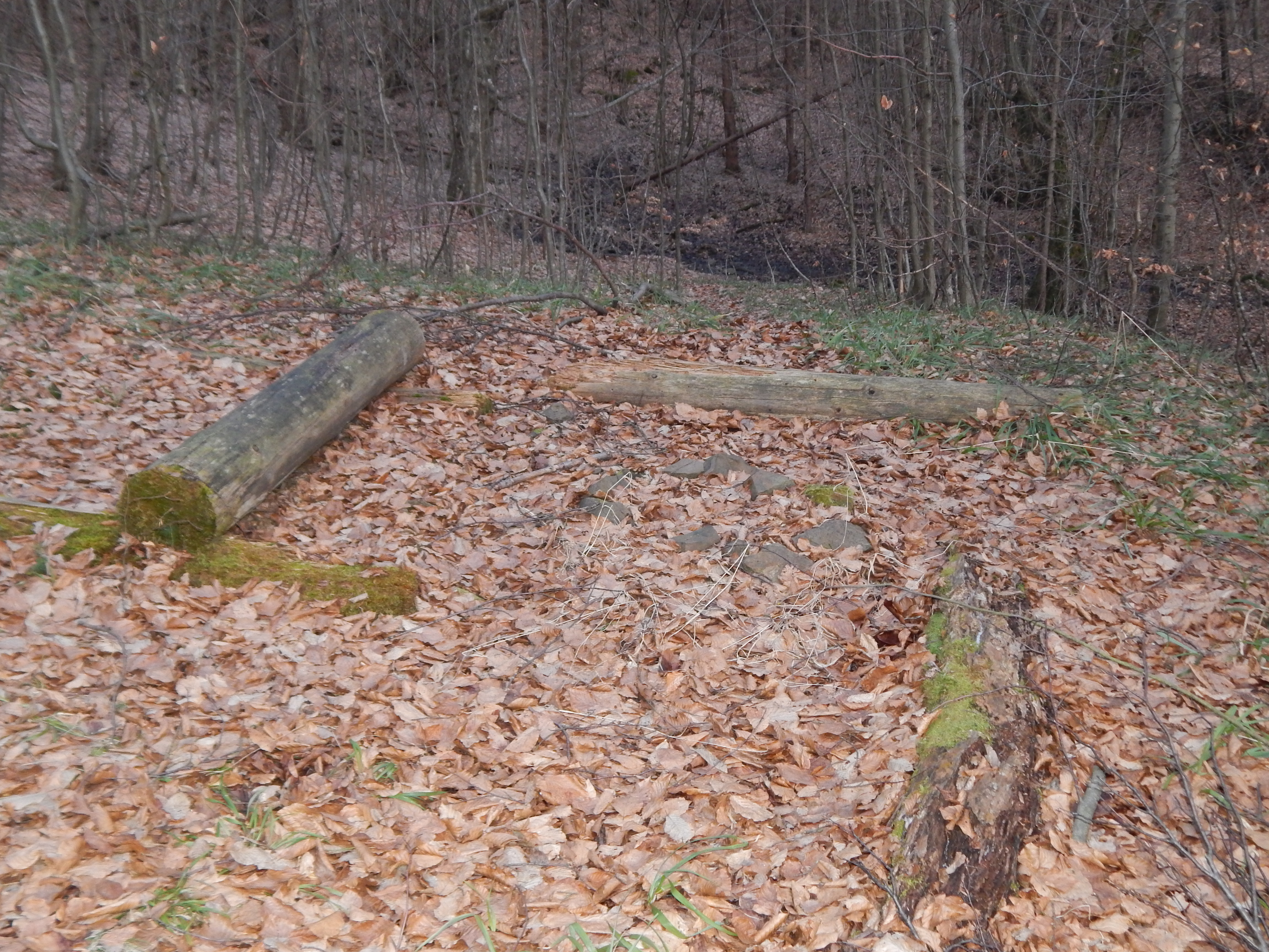 DSCN0261