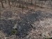 DSCN0256